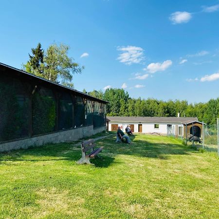 Garni Hotel Pyramida Cheb Eksteriør bilde